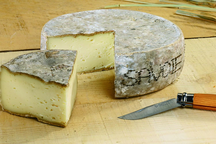 Tomme de Savoie (Bio) - アペロ ワインバー / オーガニックワインxフランス家庭料理 - 東京都港区南青山3-4-6 / apéro WINEBAR - vins et petits plats français - 2016 Tomme de Savoie (Bio) - アペロ ワインバー / オーガニックワインxフランス家庭料理 - 東京都港区南青山3-4-6 / apéro WINEBAR - vins et petits plats français - 2016