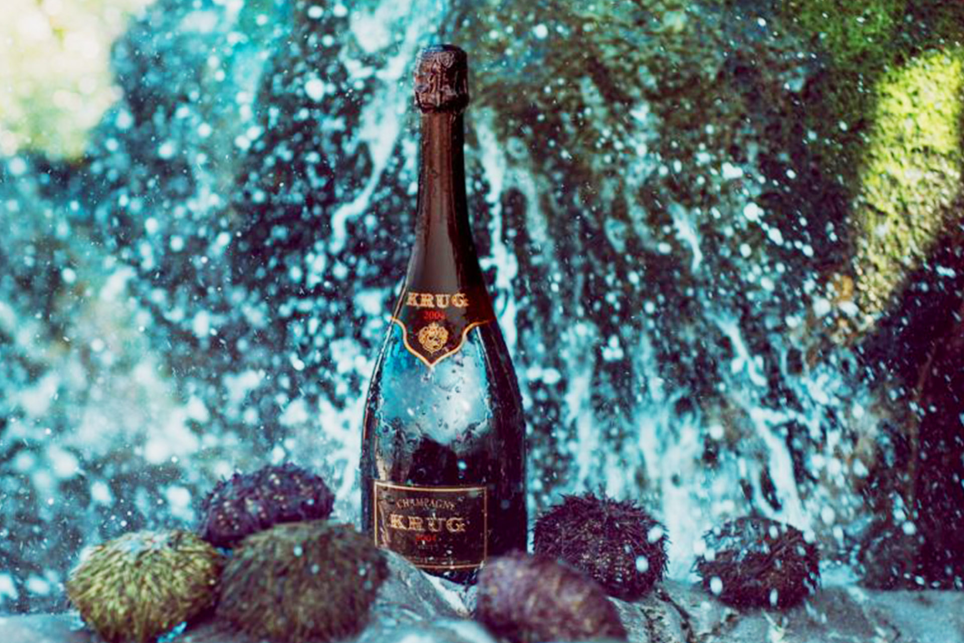 KRUG - アペロ ワインバー オーガニックワインxフランス家庭料理 - 東京都港区南青山3-4-6 / apéro WINEBAR - vins et petits plats français KRUG - アペロ ワインバー オーガニックワインxフランス家庭料理 - 東京都港区南青山3-4-6 / apéro WINEBAR - vins et petits plats français