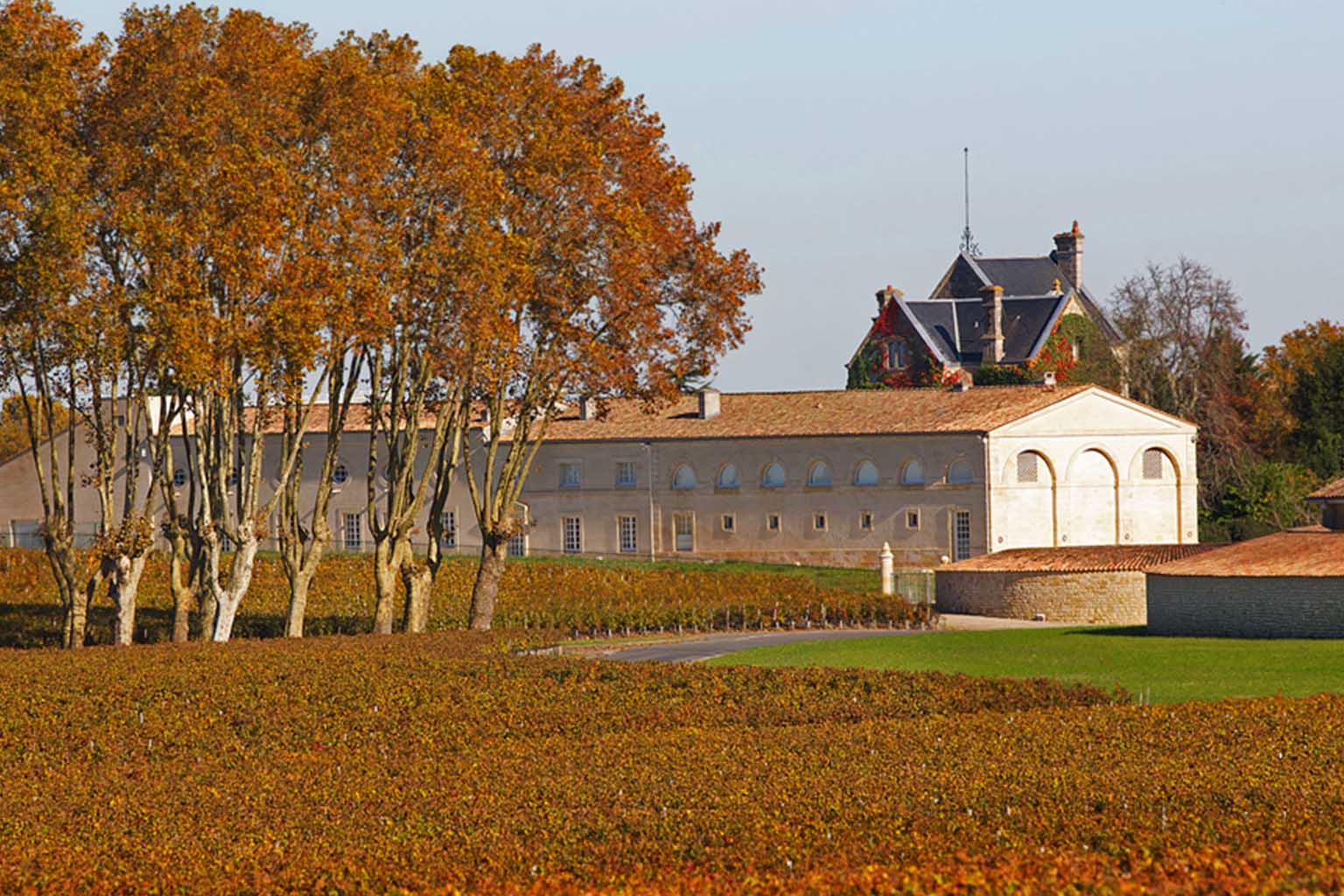 Château Mouton Rothschild - アペロ ワインバー オーガニックワインxフランス家庭料理 - 東京都港区南青山3-4-6 / apéro WINEBAR - vins et petits plats français Château Mouton Rothschild - アペロ ワインバー オーガニックワインxフランス家庭料理 - 東京都港区南青山3-4-6 / apéro WINEBAR - vins et petits plats français