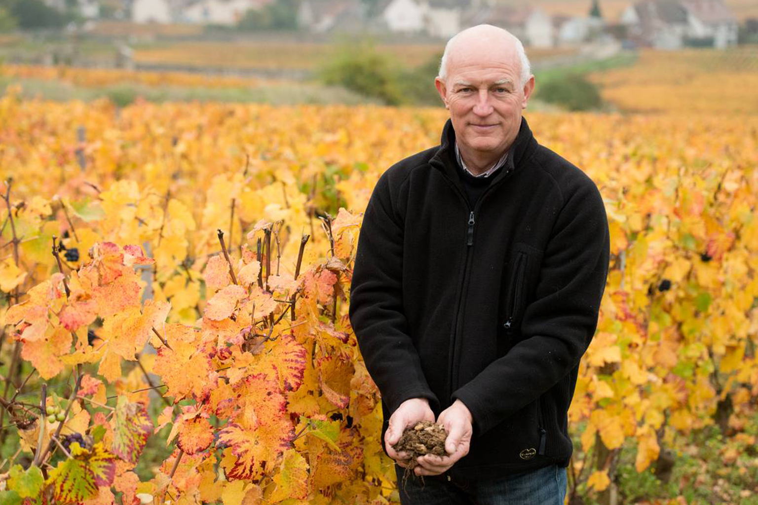 Domaine Claude Dugat - アペロ ワインバー オーガニックワインxフランス家庭料理 - 東京都港区南青山3-4-6 / apéro WINEBAR - vins et petits plats français Domaine Claude Dugat - アペロ ワインバー オーガニックワインxフランス家庭料理 - 東京都港区南青山3-4-6 / apéro WINEBAR - vins et petits plats français