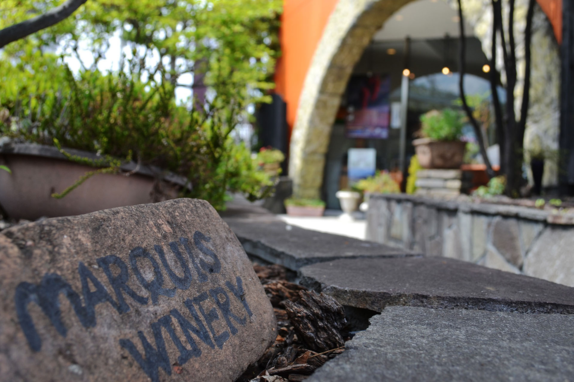 Maruki Winery - アペロ ワインバー オーガニックワインxフランス家庭料理 - 東京都港区南青山3-4-6 / apéro WINEBAR - vins et petits plats français Maruki Winery - アペロ ワインバー オーガニックワインxフランス家庭料理 - 東京都港区南青山3-4-6 / apéro WINEBAR - vins et petits plats français