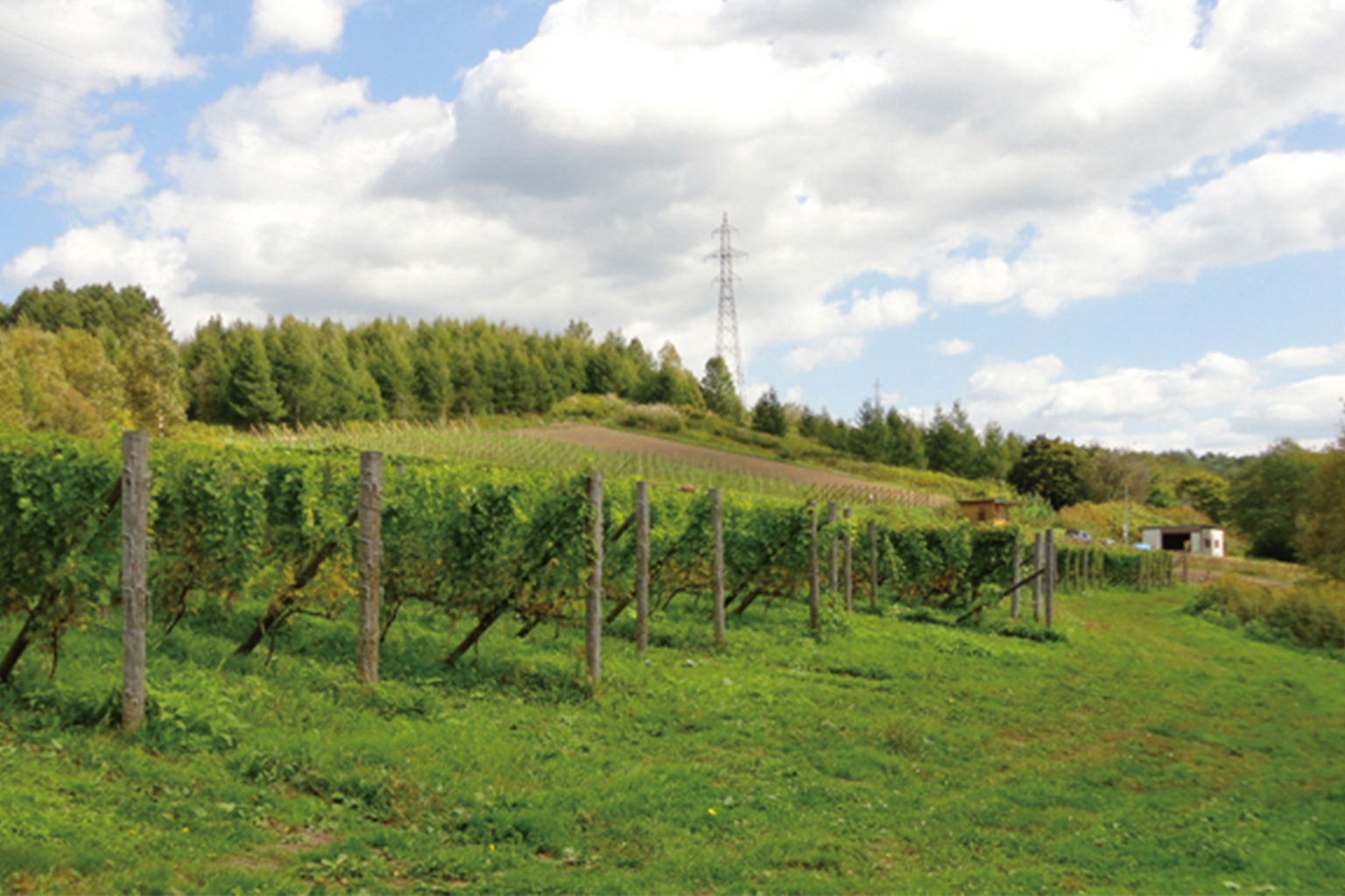 Takizawa Winery - アペロ ワインバー オーガニックワインxフランス家庭料理 - 東京都港区南青山3-4-6 / apéro WINEBAR - vins et petits plats français Takizawa Winery - アペロ ワインバー オーガニックワインxフランス家庭料理 - 東京都港区南青山3-4-6 / apéro WINEBAR - vins et petits plats français