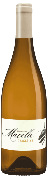 Chasselas - アペロ ワインバー / オーガニックワインxフランス家庭料理 - 東京都港区南青山3-4-6 / apéro WINEBAR - vins et petits plats français - 2016 Chasselas - アペロ ワインバー / オーガニックワインxフランス家庭料理 - 東京都港区南青山3-4-6 / apéro WINEBAR - vins et petits plats français - 2016