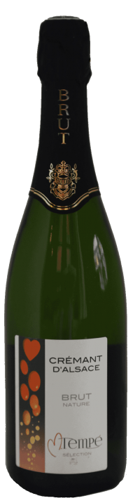 Brut Nature - アペロ ワインバー / オーガニックワインxフランス家庭料理 - 東京都港区南青山3-4-6 / apéro WINEBAR - vins et petits plats français - 2016 Brut Nature - アペロ ワインバー / オーガニックワインxフランス家庭料理 - 東京都港区南青山3-4-6 / apéro WINEBAR - vins et petits plats français - 2016