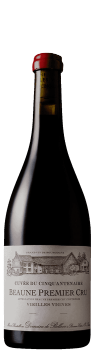キュヴェ・ド・サンカントネール V.V. - アペロ ワインバー / オーガニックワインxフランス家庭料理 - 東京都港区南青山3-4-6 / apéro WINEBAR - vins et petits plats français - 2016