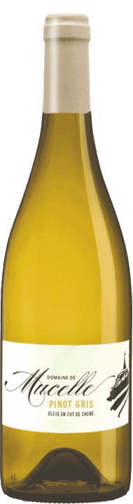 Pinot Gris Orange Wine Apero Wine Bar Aoyama Pinot Gris Orange Wine Apero Wine Bar Aoyama