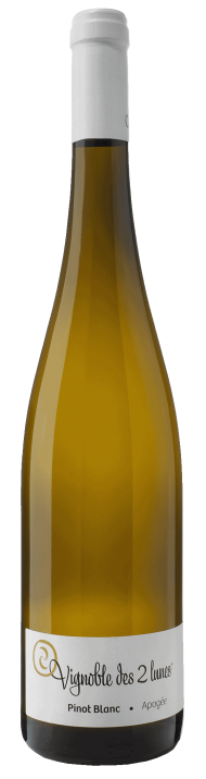 Pinot Blanc Apogée - アペロ ワインバー / オーガニックワインxフランス家庭料理 - 東京都港区南青山3-4-6 / apéro WINEBAR - vins et petits plats français - 2016 Pinot Blanc Apogée - アペロ ワインバー / オーガニックワインxフランス家庭料理 - 東京都港区南青山3-4-6 / apéro WINEBAR - vins et petits plats français - 2016
