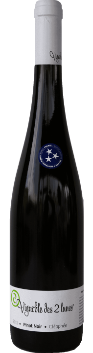 Pinot Noir Cléophée - アペロ ワインバー / オーガニックワインxフランス家庭料理 - 東京都港区南青山3-4-6 / apéro WINEBAR - vins et petits plats français - 2016 Pinot Noir Cléophée - アペロ ワインバー / オーガニックワインxフランス家庭料理 - 東京都港区南青山3-4-6 / apéro WINEBAR - vins et petits plats français - 2016
