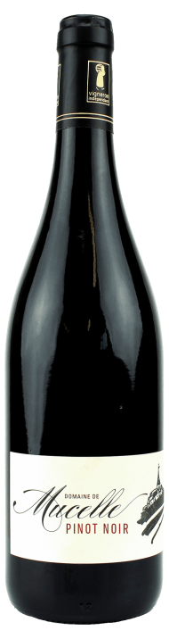 Pinot Noir - アペロ ワインバー / オーガニックワインxフランス家庭料理 - 東京都港区南青山3-4-6 / apéro WINEBAR - vins et petits plats français - 2016 Pinot Noir - アペロ ワインバー / オーガニックワインxフランス家庭料理 - 東京都港区南青山3-4-6 / apéro WINEBAR - vins et petits plats français - 2016