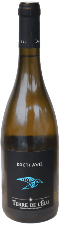 Terre de l'Élu, Roc'h Avel - アペロ ワインバー / オーガニックワインxフランス家庭料理 - 東京都港区南青山3-4-6 / apéro WINEBAR - vins et petits plats français - 2016 Terre de l'Élu, Roc'h Avel - アペロ ワインバー / オーガニックワインxフランス家庭料理 - 東京都港区南青山3-4-6 / apéro WINEBAR - vins et petits plats français - 2016