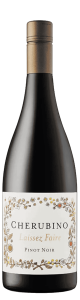 Laissez Faire Pinot Noir - アペロ ワインバー / オーガニックワインxフランス家庭料理 - 東京都港区南青山3-4-6 / apéro WINEBAR - vins et petits plats français - 2016